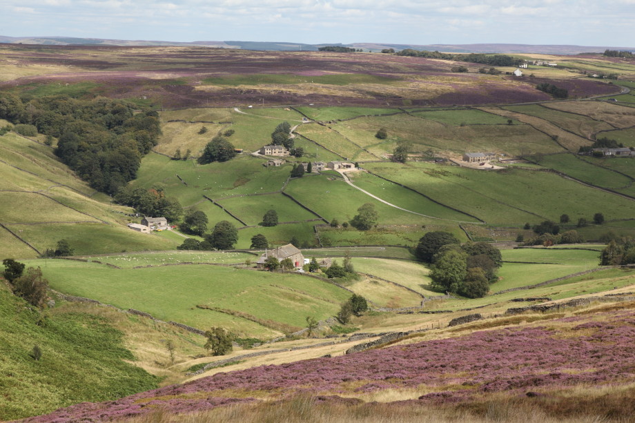 Whitestone Clough from Crow Hill