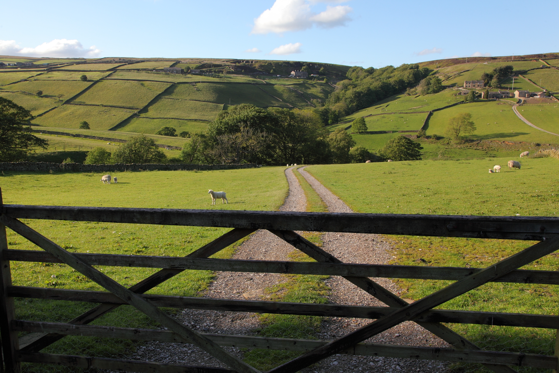 View to North from Whitestone