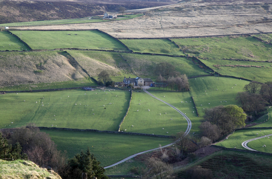 Whitestone across Worth Valley