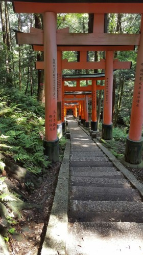 Fushimi Inari shrine. SW, 26 May 2017